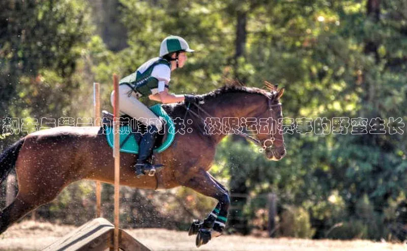 谈球吧(中国)官方网站天键股份飙车与攀岩的巅峰对决：极限运动赛事的野蛮生长