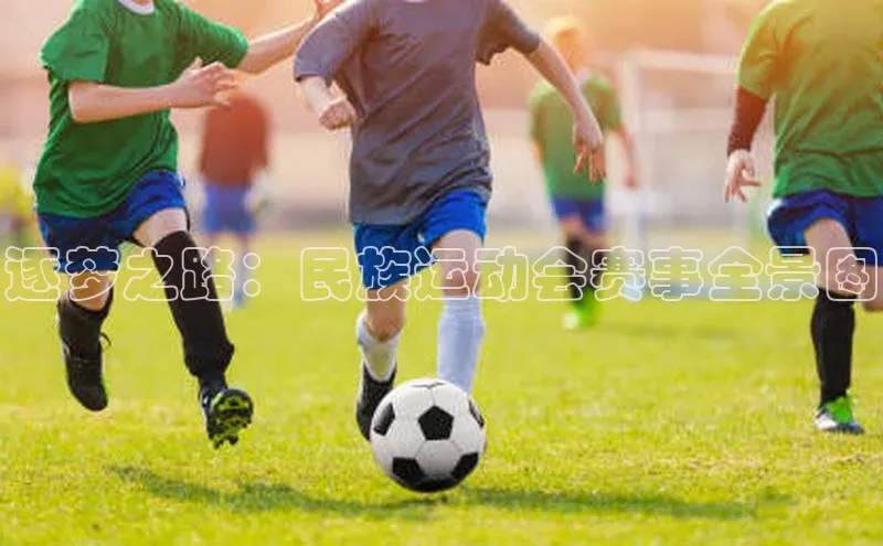 逐梦之路：民族运动会赛事全景图