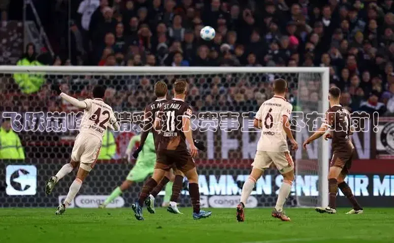 飞跃巅峰：精彩跳水赛事直播尽在眼前！