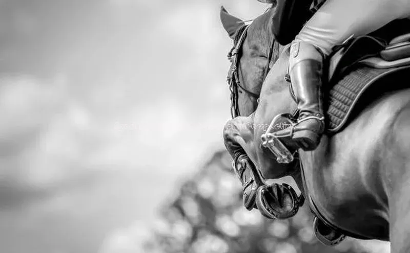 SportingEvents:AnInternationalPerspective