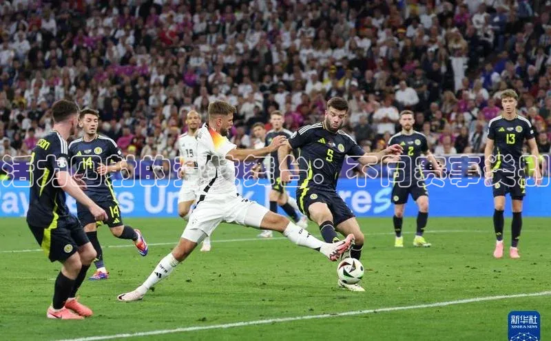 活力四射的竞技舞台：不同赛事类别