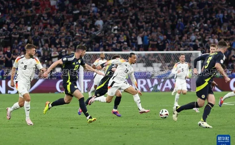 未来：国际智力运动联盟在构建全球智力竞技生态系统中的角色与展望