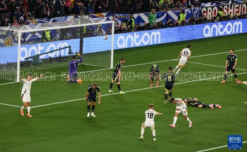 候鸟迁徙：迁徙的极限与挑战-2023赛事官网特别报道