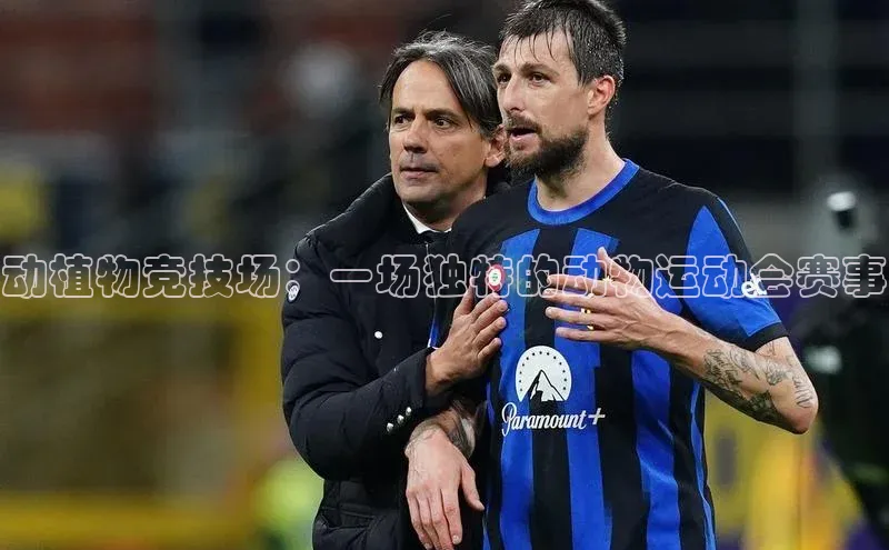 动植物竞技场：一场独特的动物运动会赛事