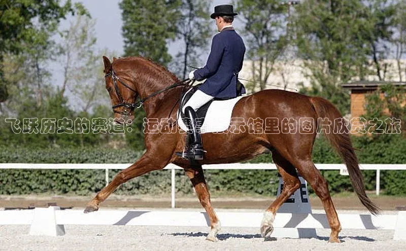 飞跃历史的赛道：运动赛事展示馆里的图片欣赏之旅