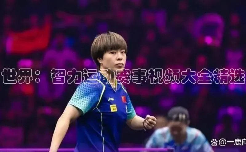 世界：智力运动赛事视频大全精选