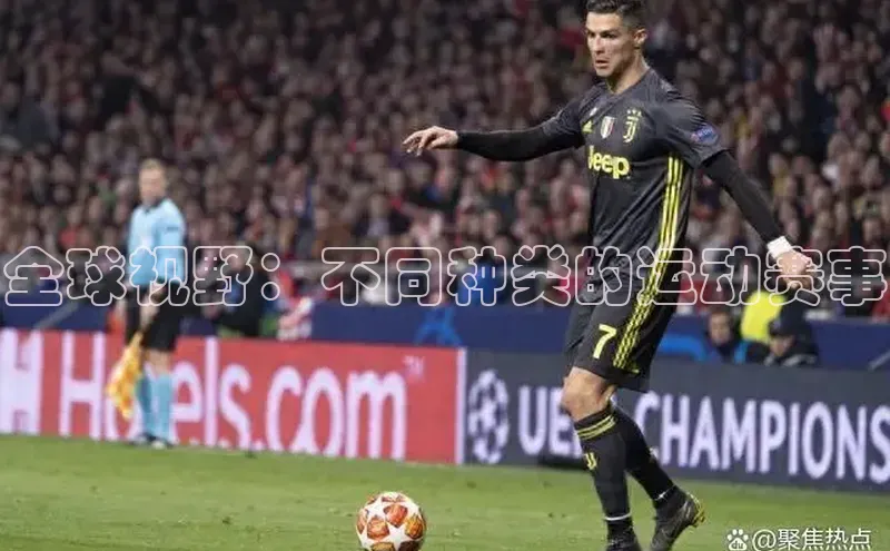 全球视野：不同种类的运动赛事