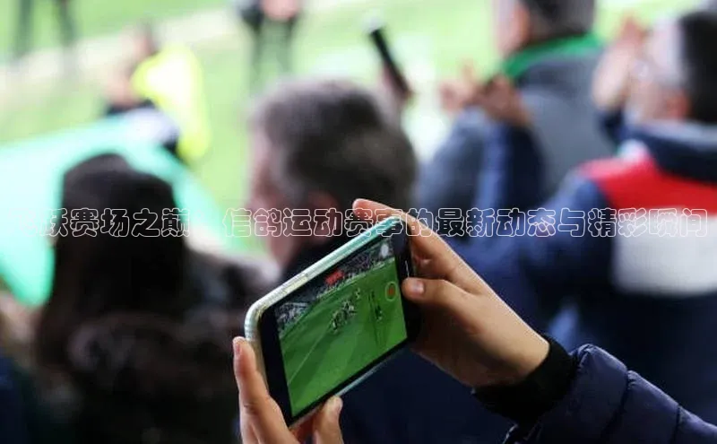 飞跃赛场之巅：信鸽运动赛事的最新动态与精彩瞬间