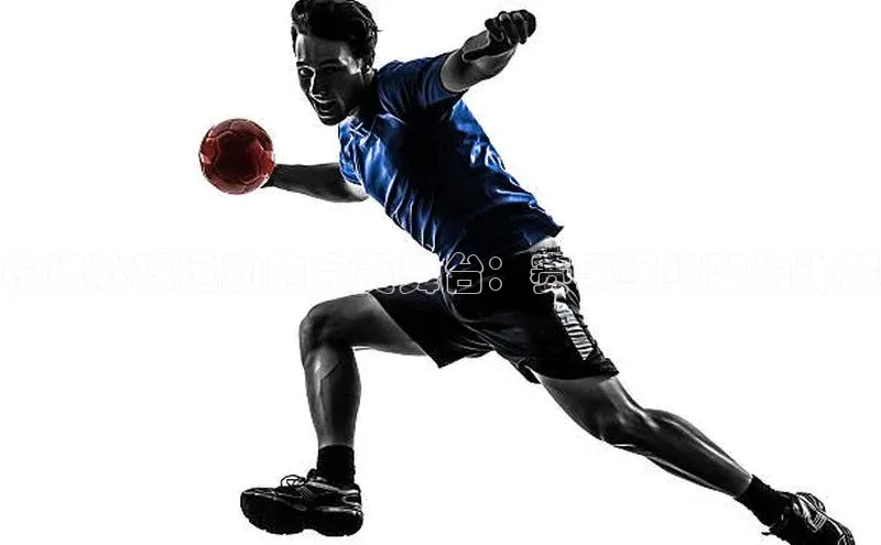 构建冰球运动的完美舞台：赛事组织架构详解