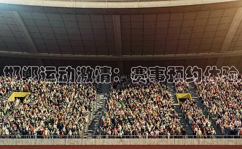 邯郸运动激情：赛事预约体验